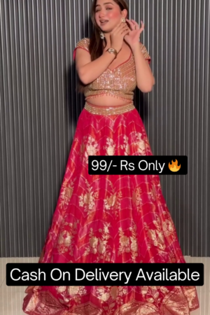 Earnik Women's Organza Lehenga Choli With Dupatta