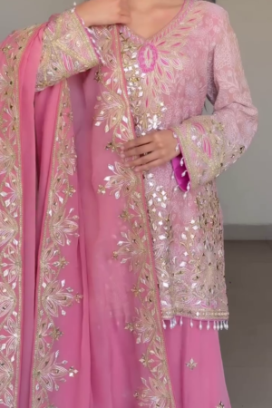 Women's Embroidery Sequence Work Sharara Set